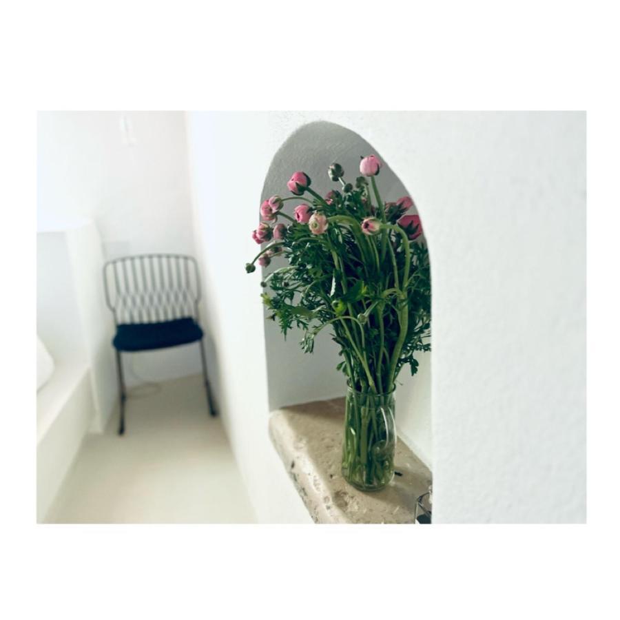 Hydria Guest House Art Gallery Acquaviva delle Fonti Extérieur photo